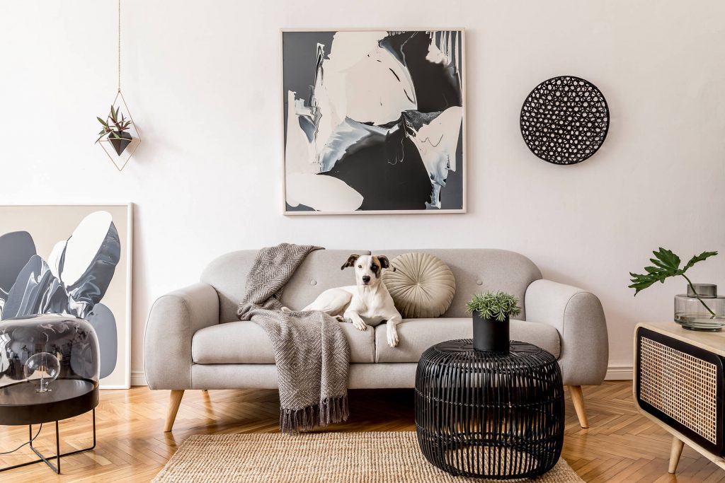 Modern Living Room With Dog